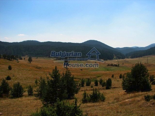 Investment Land for sale near Smolyan - 10756