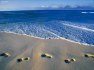 Seaside resorts on the Southern Black Sea Coast - most preferred - 1019