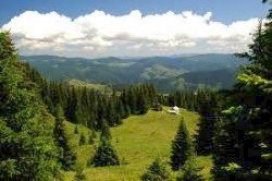 The Rhodopes are the 7th region of Rewilding Europe Initiative