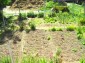 lovely maintained garden