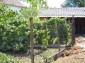 A garden