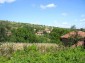 A view