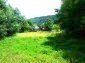 main picture of the land