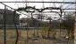 Vineyard