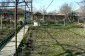 The garden