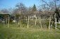The garden