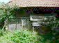 The house and the garden