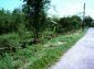 The road near the house