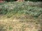 Lands for sale near Yambol