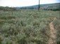 The land