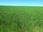 The plot of land