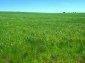 A peace of the land