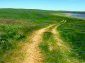 Path near the land