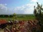 A view