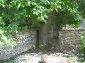 Part of the garden