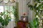  The dining room