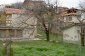 The garden