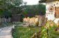 The path in the garden