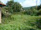 the garden of the property