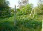 the garden of the property