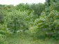 views revealed from the property