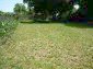 garden of the property