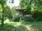 garden of the property