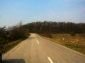 road leading to the property