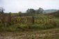 Lands for sale near Lovech