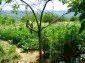 Amazing house near Lovech