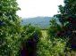 Amazing house near Lovech