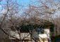 Houses for sale near Lovech