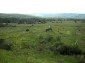 Huge land near Lovech