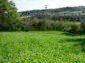 Lands for sale near Lovech