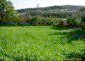 Amazing plot of land