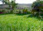 Amazing plot of land