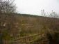 surroundings of the property