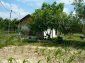garden of the property