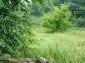 Lands for sale near Gabrovo