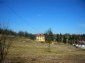 the surroundings of the property