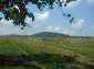 hilly area view