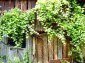 Lovely house near Lovech region