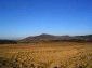 The land