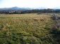 The land