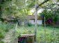 The garden