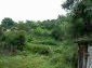 A view