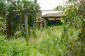 The garden
