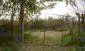 The land