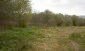 The land