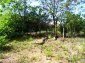 Lands for sale near Pleven